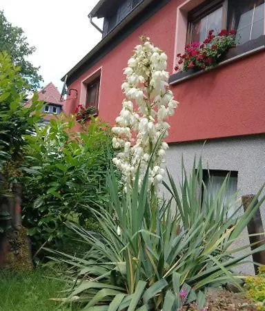 Haus An Der Echobank * Rathen