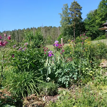 Haus An Der Echobank * Rathen
